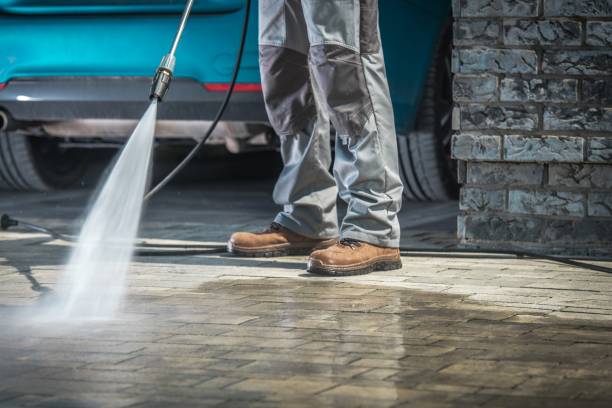 Best Driveway Pressure Washing  in Coyne Center, IL