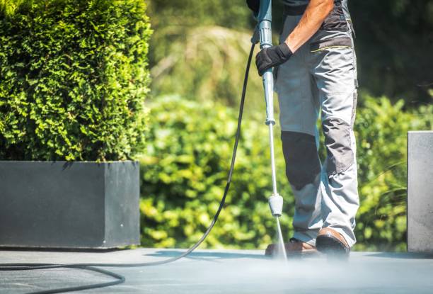 Best Spring Cleaning  in Coyne Center, IL
