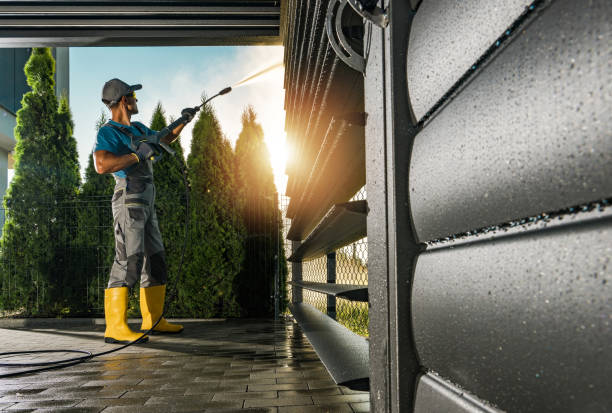 Best Graffiti Removal  in Coyne Center, IL